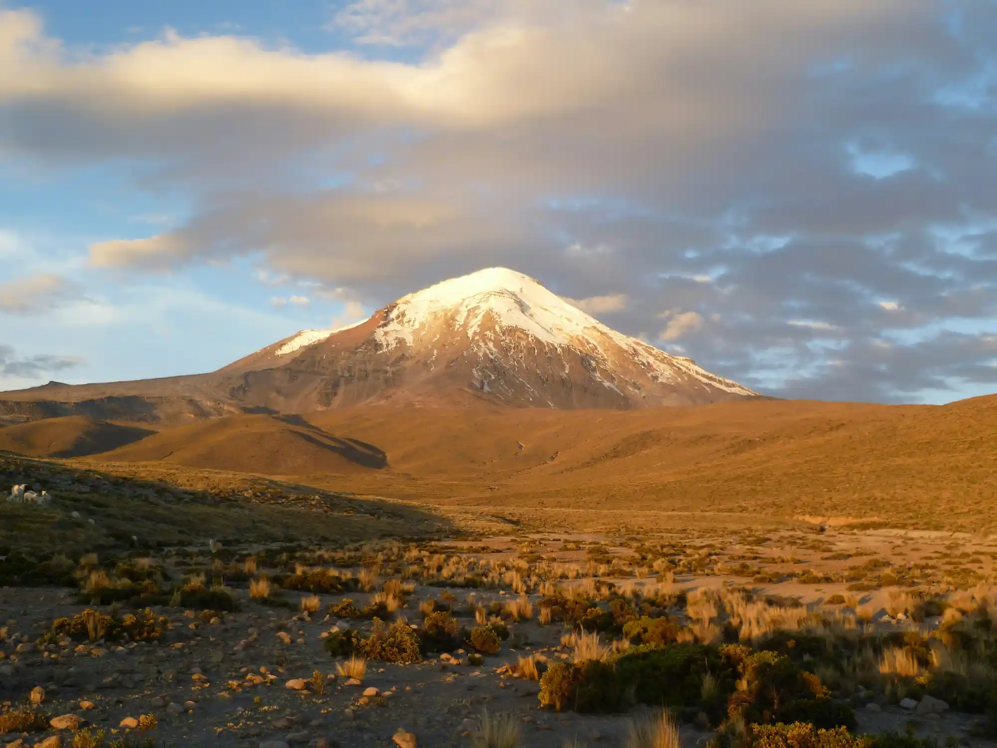 Patapampa - 4910 m.s.n.m.